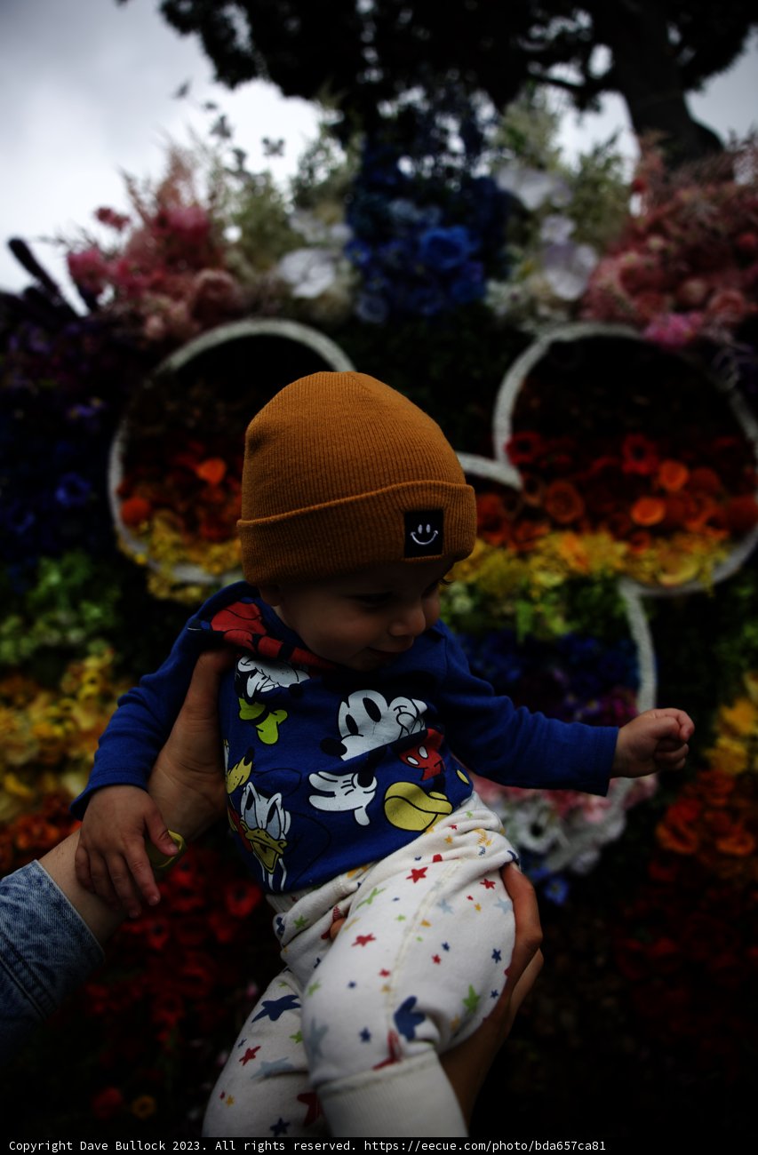 Blooming Adventures with Baby Wes