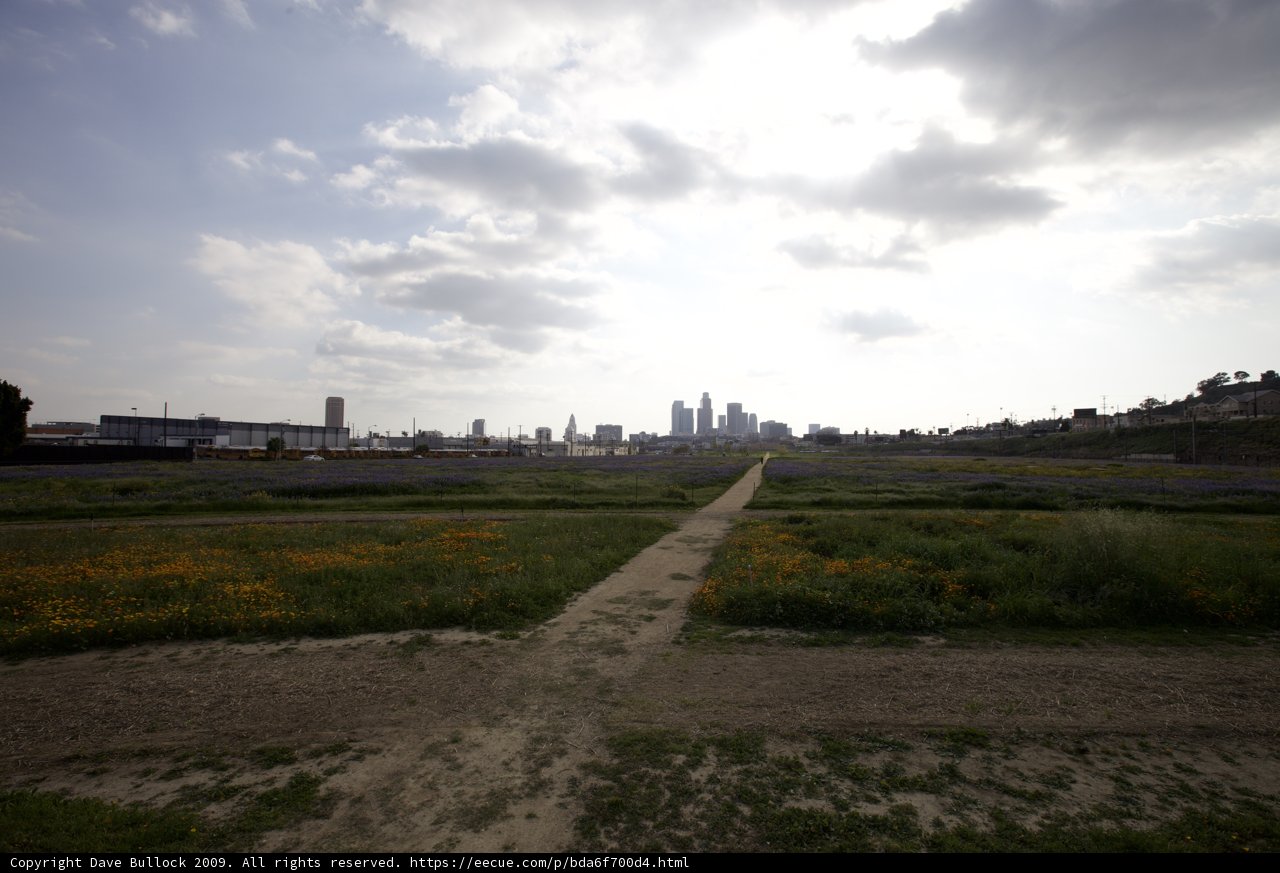 Pathway to the City