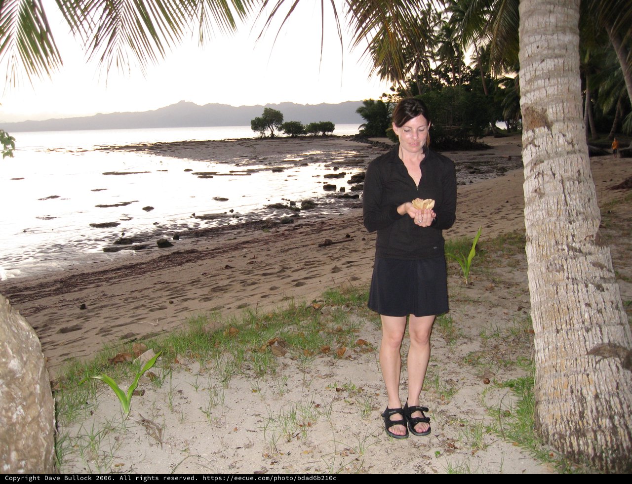 Twilight Beachcomber Examining Shell in Fiji