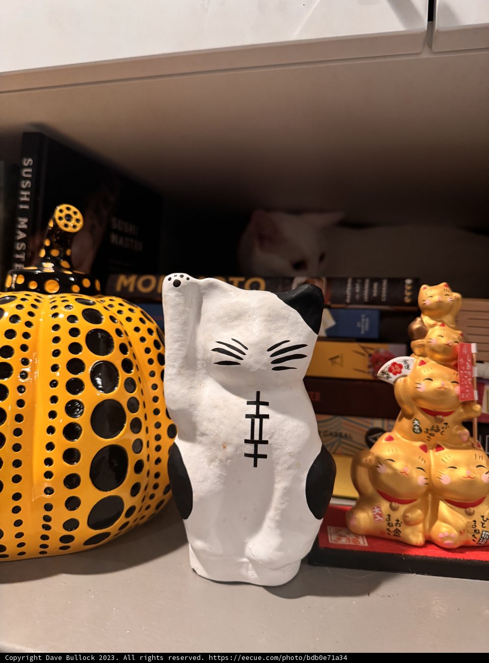 Artistic Trio in Autumn Hues