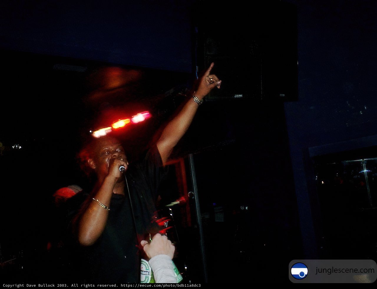 Tippa Irie Takes the Stage