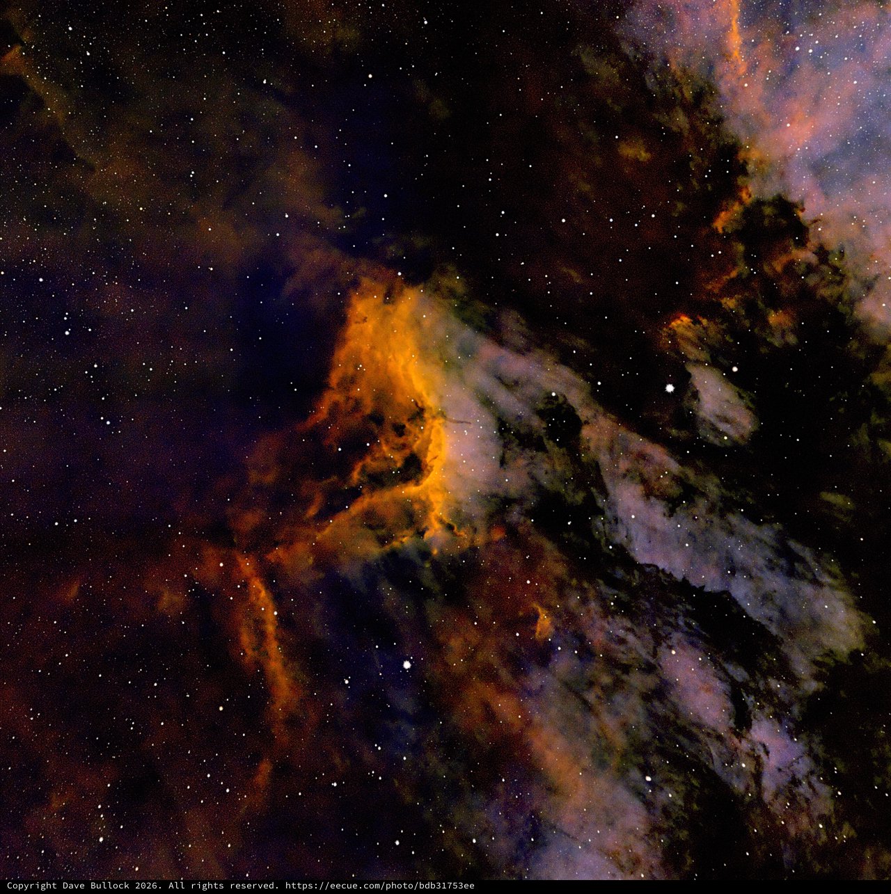IC5070 Pelican Nebula in SHO Narrowband Palette