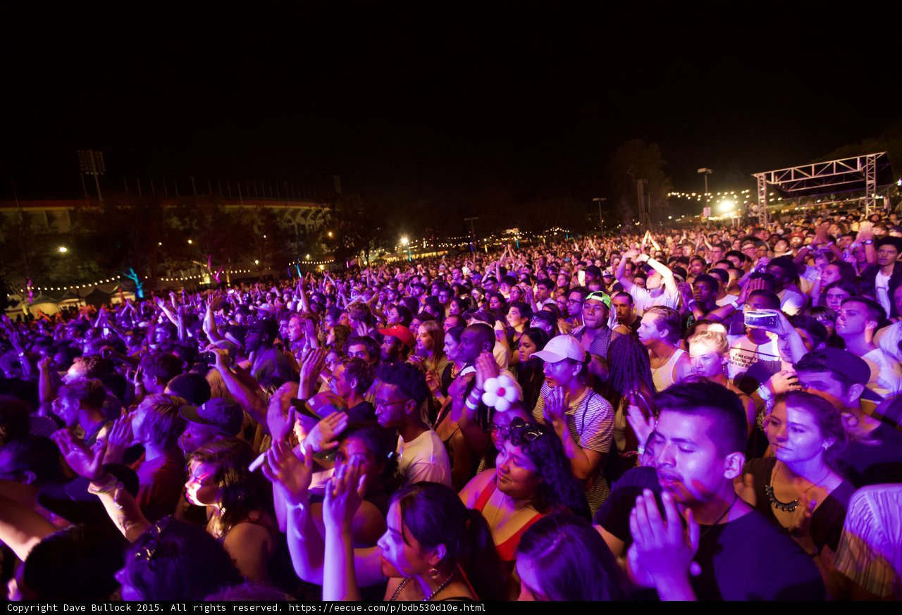 FYF Fest Wide Crowd Shot Scaffolding Flower Accessory Purple Light Night