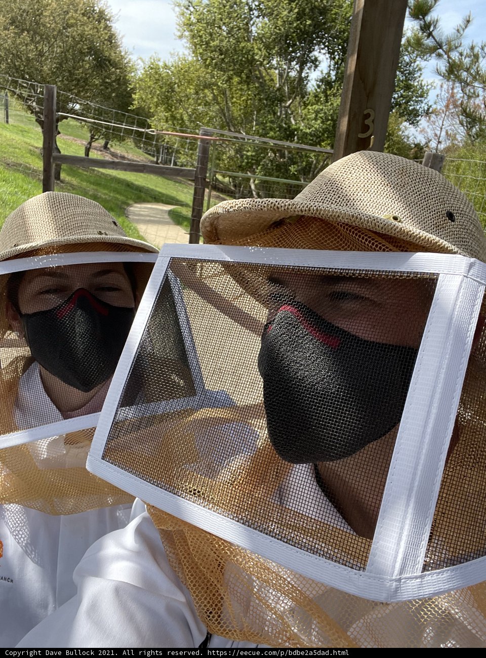 Busy Beekeepers