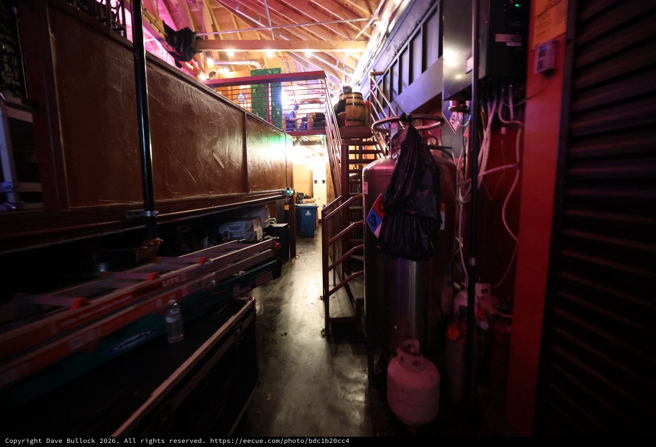Backstage Chaos: Behind the Scenes at Wobbleland