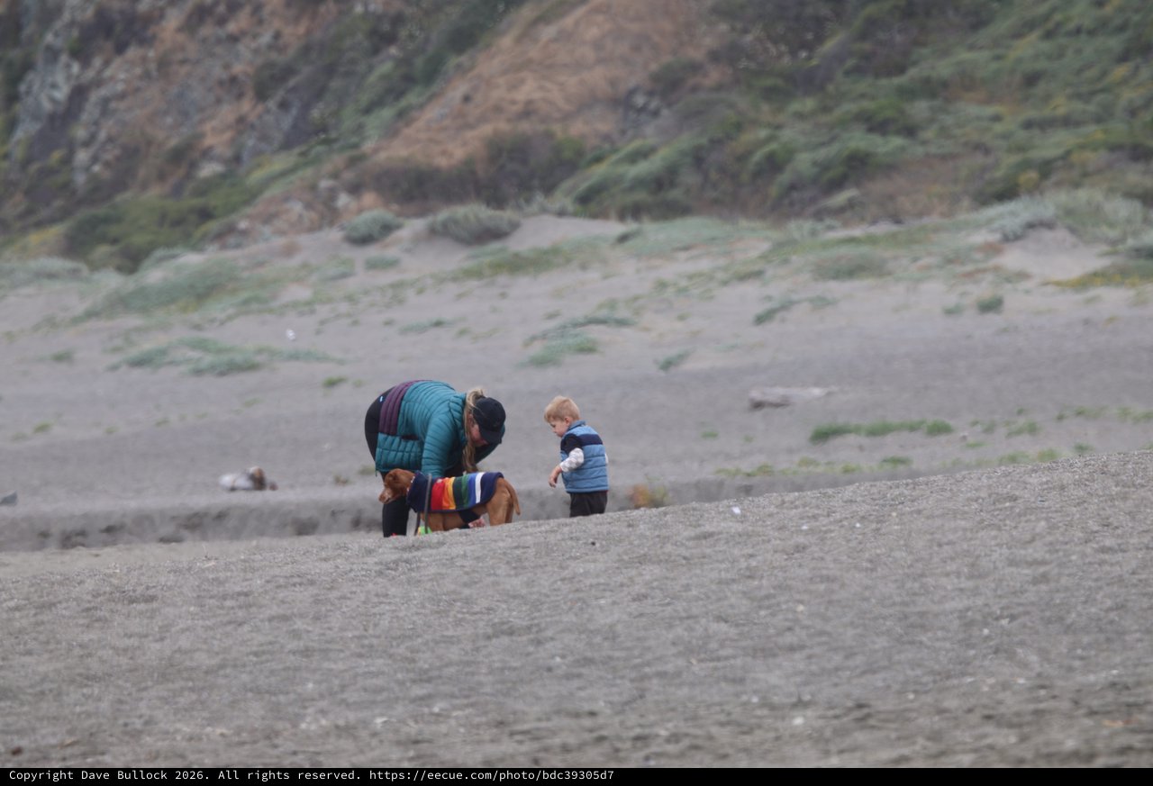Family Beach Moment with Dog on Foggy Coast