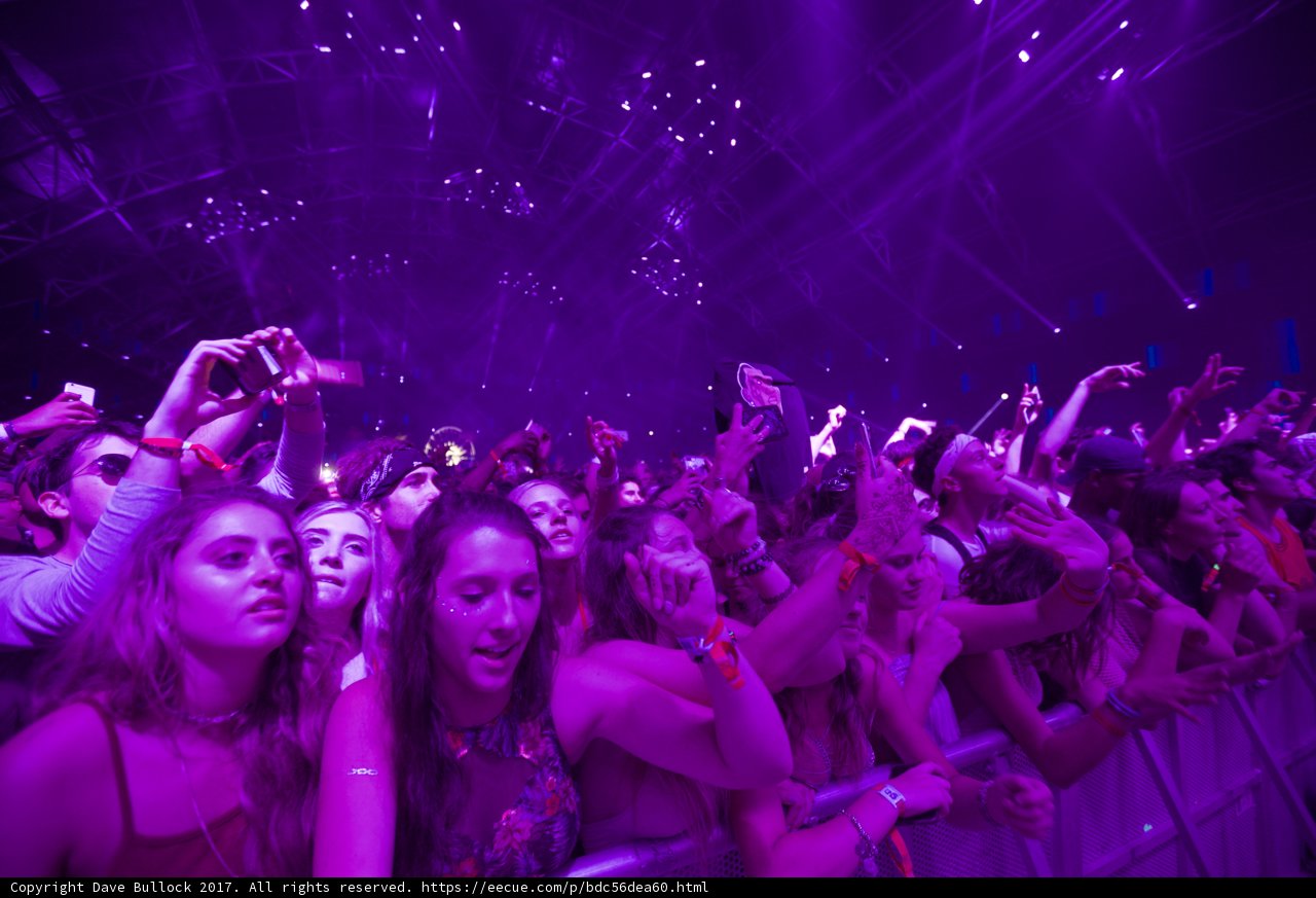 Purple Haze at Coachella