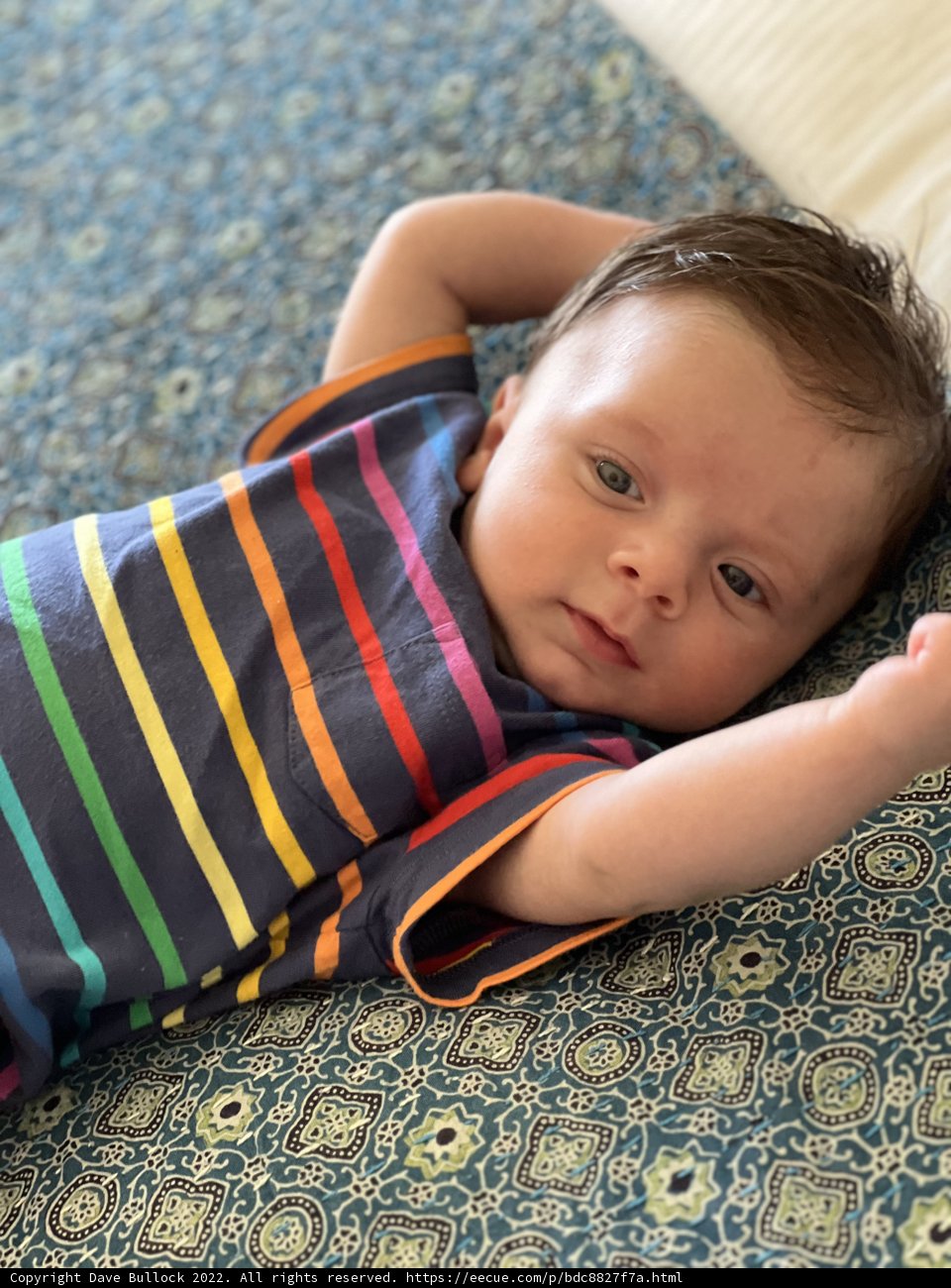 Colorful and Cozy Baby