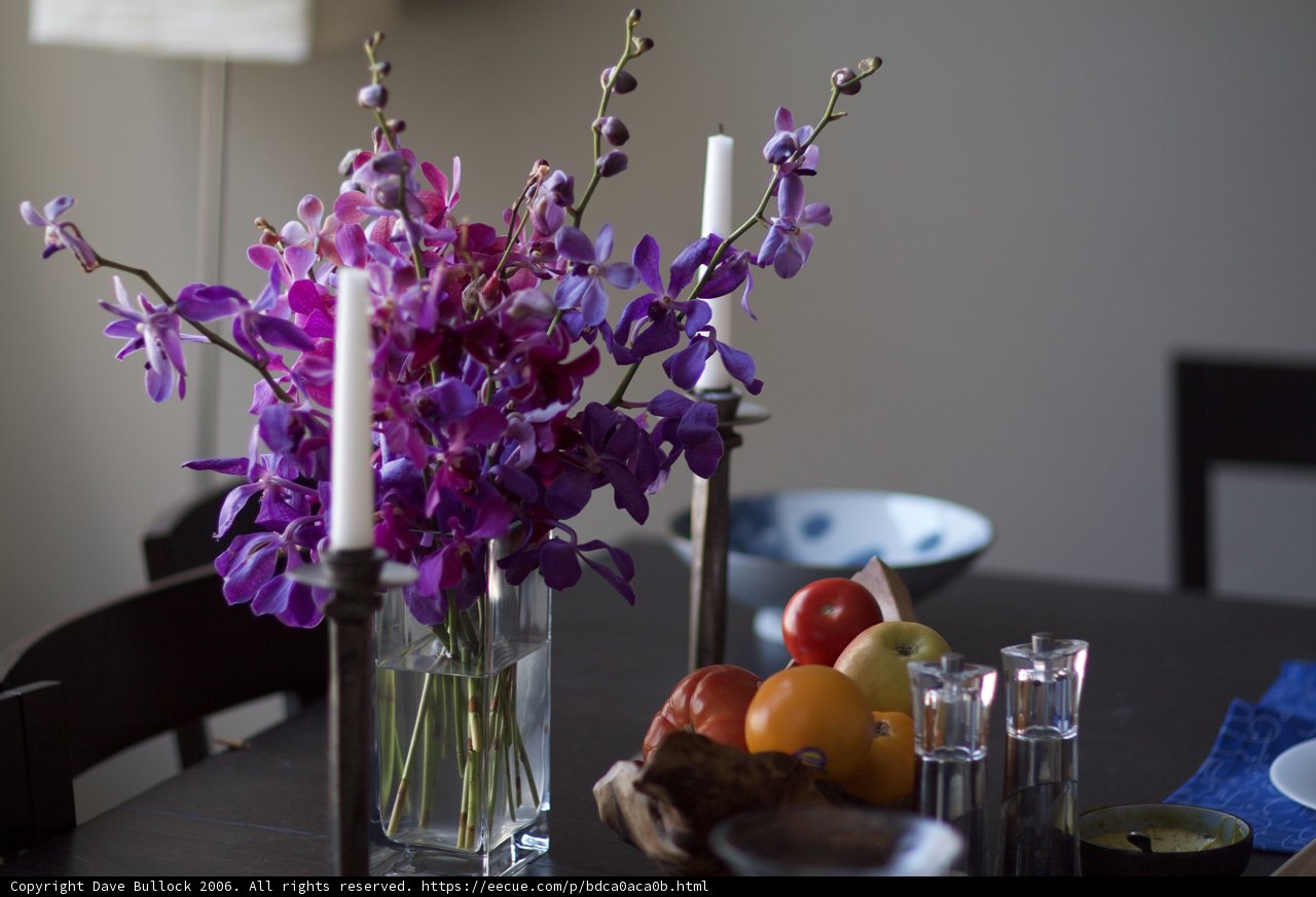 Purple Beauty in a Vase