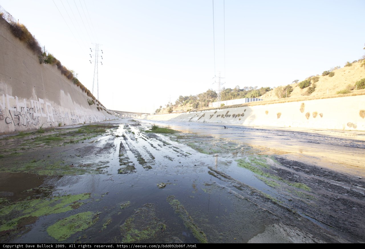 Algae Bloom in the LA River