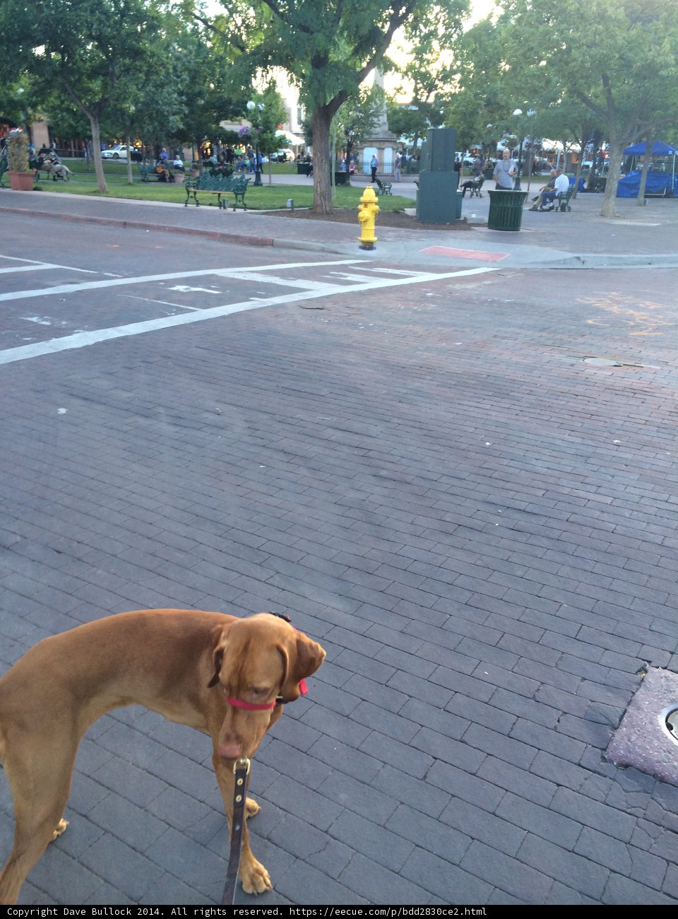 City Walkies