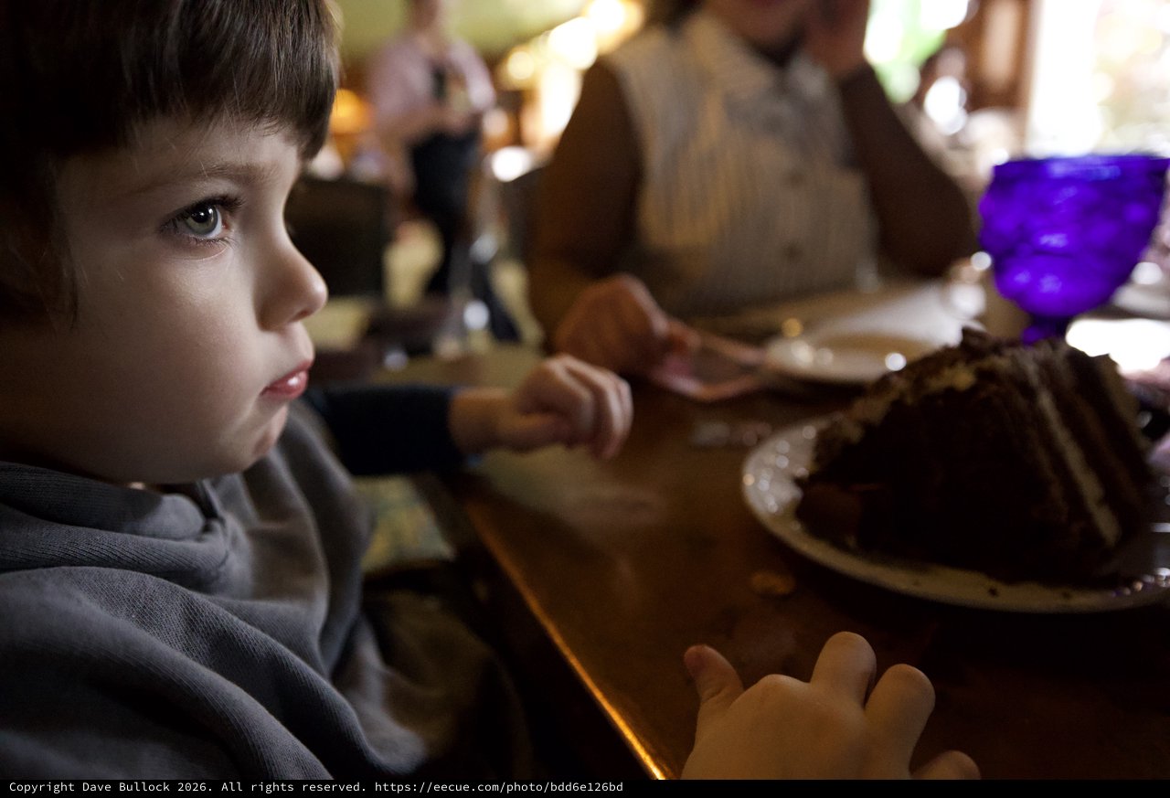 Young Child's Wonder at Dinner Table