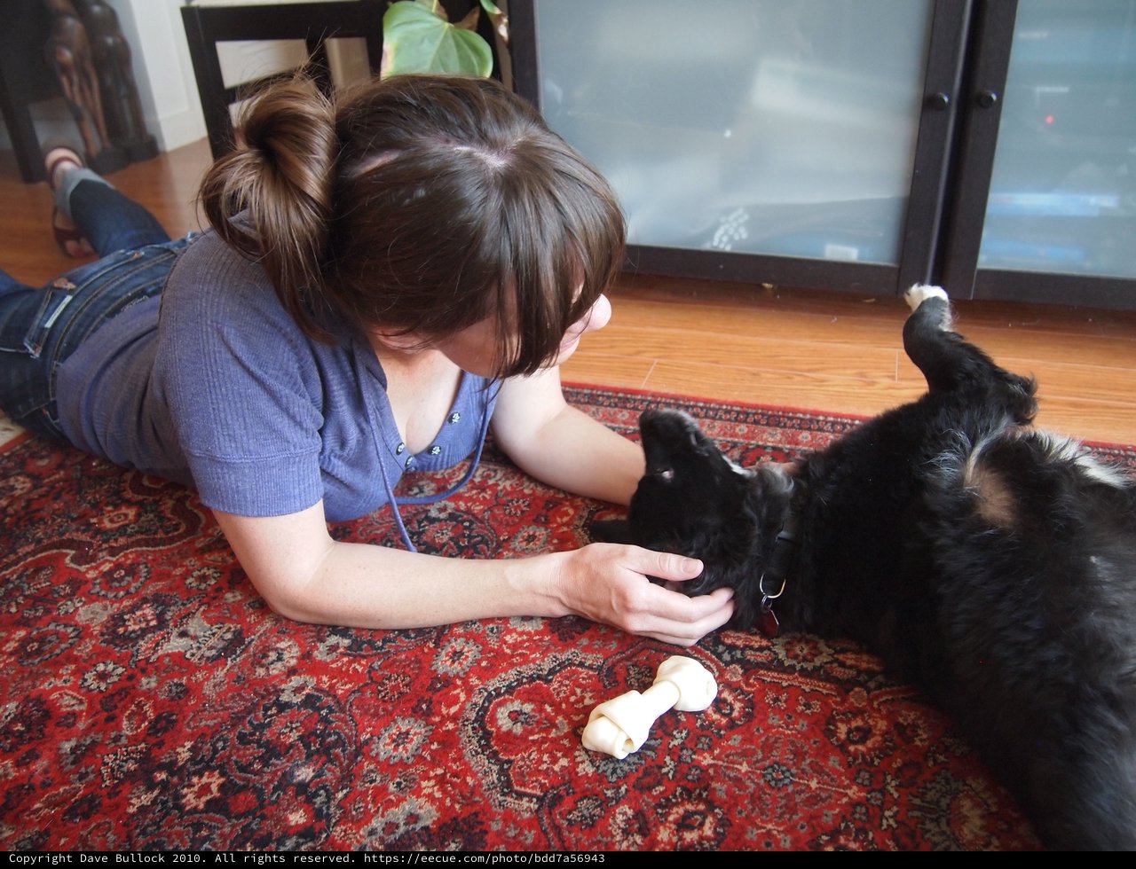 Woman Bonding With Black Dog Over Treat