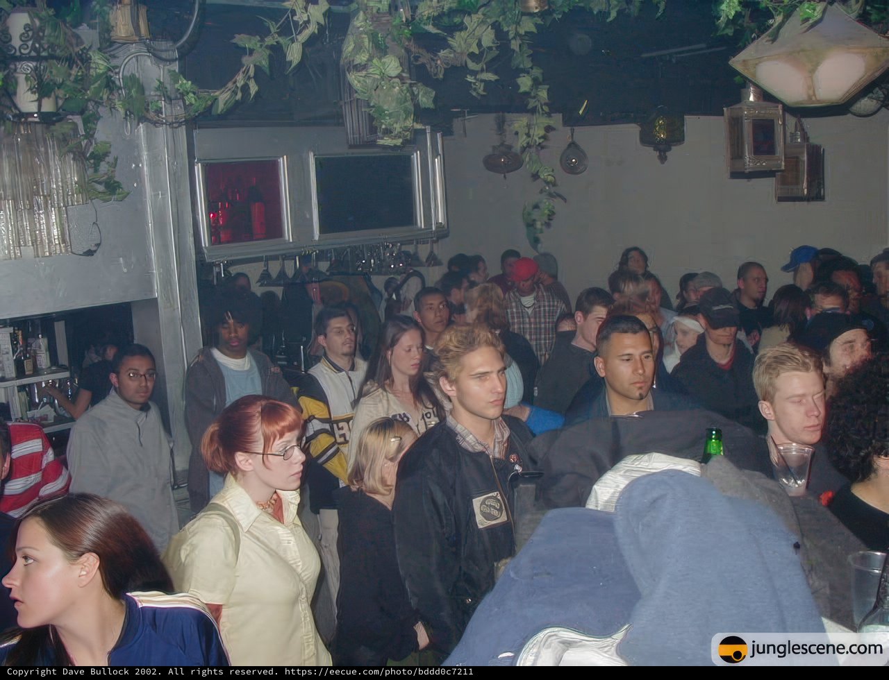 Nightclub Crowd