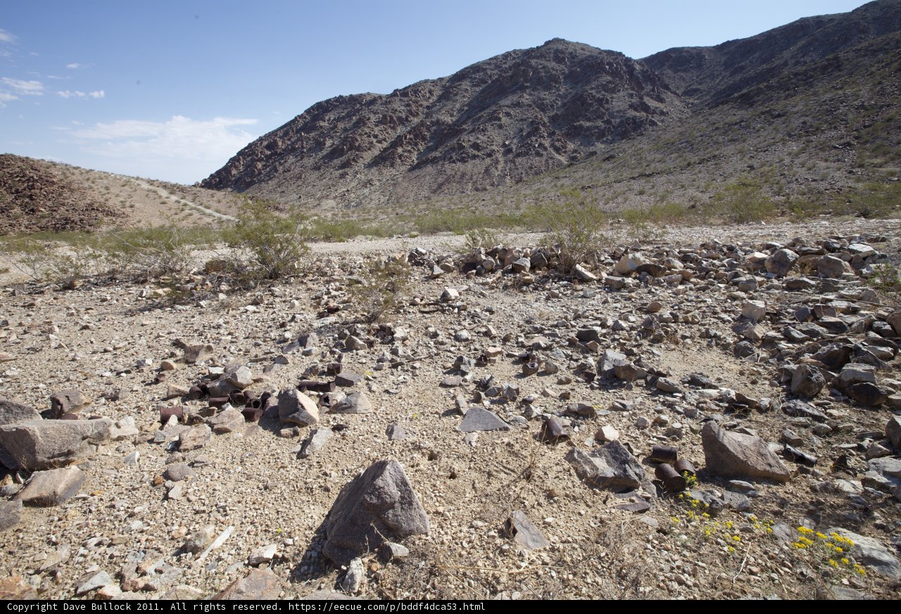 A Rocky Oasis
