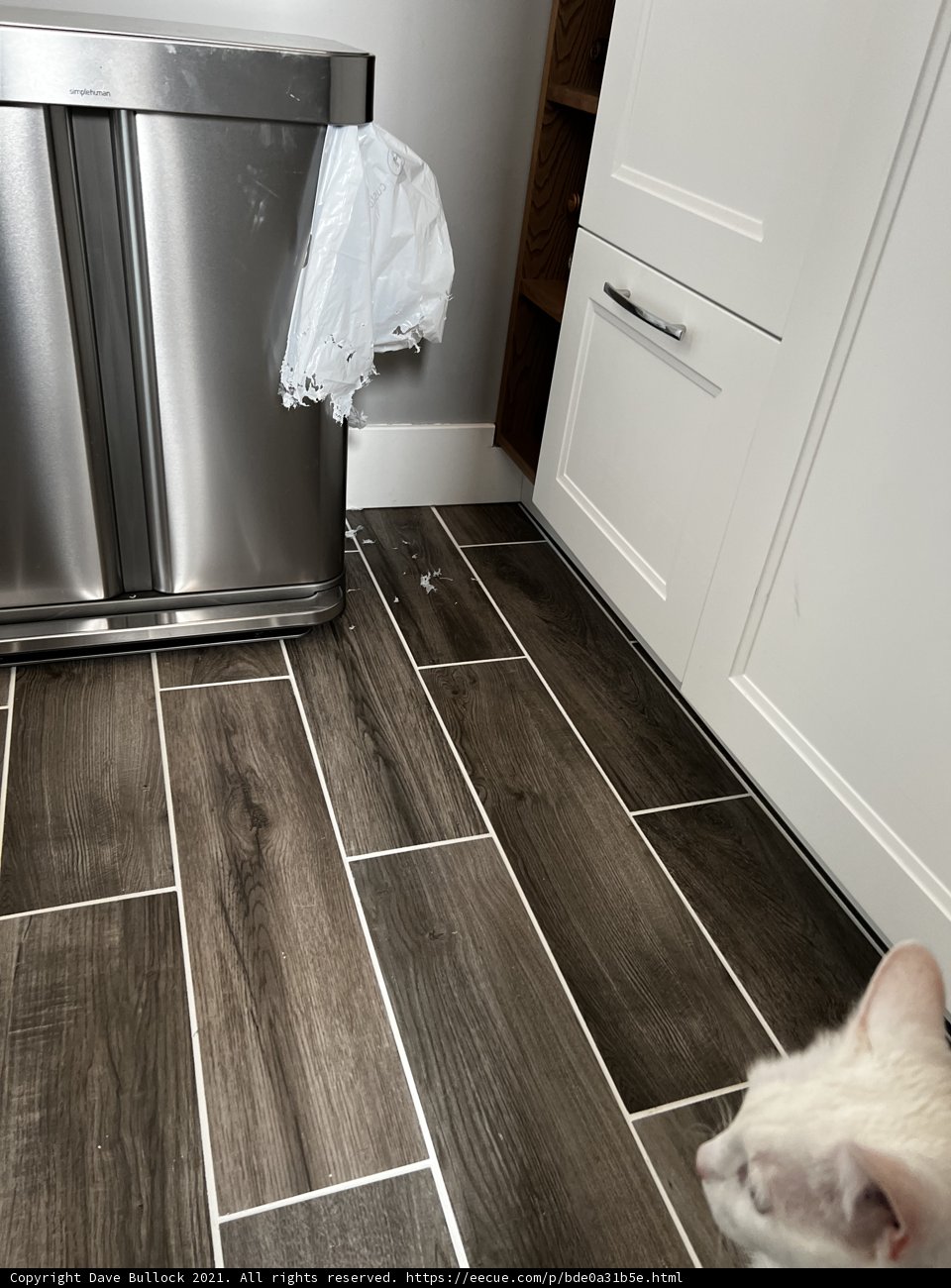 The White Feline and the Kitchen Floor
