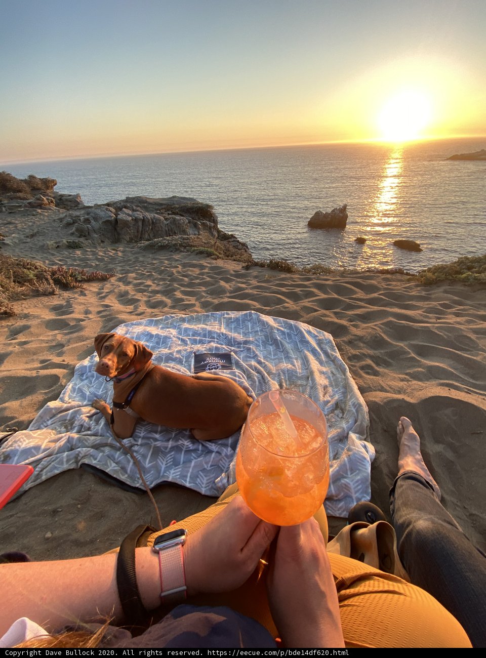 Beach Day with My Best Mate