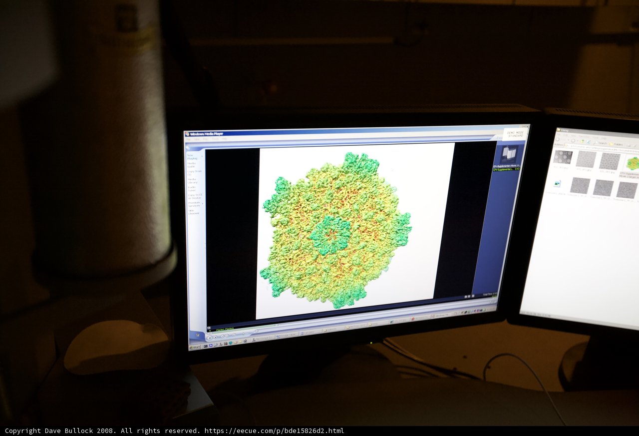Dual Computer Monitors Displaying a Vibrant Pattern