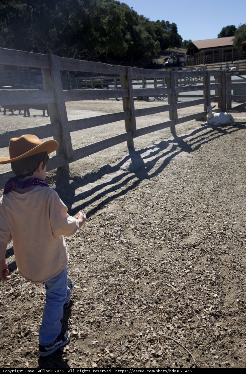Little Cowboy's Adventure