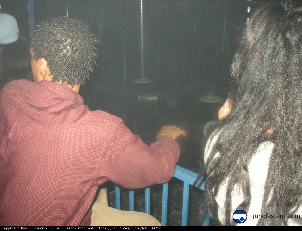 Nightlife Observation