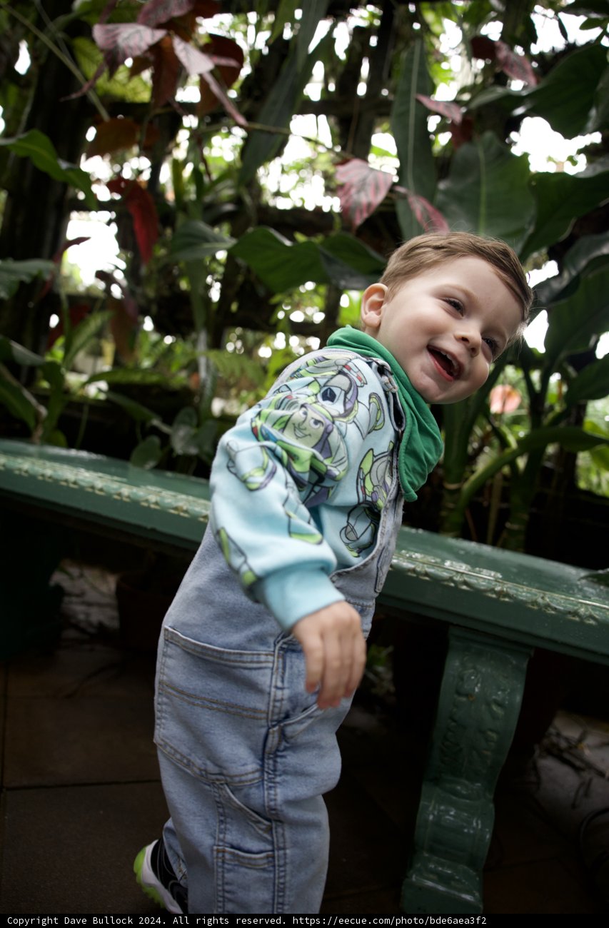 Youthful Joy in Nature