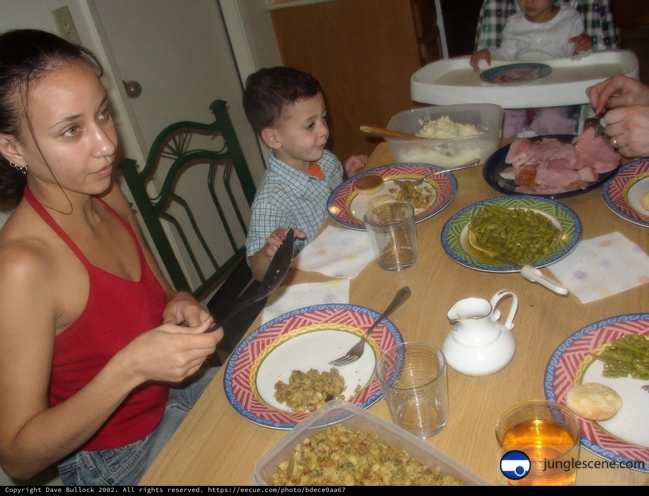 Family Meal at the Dining Table