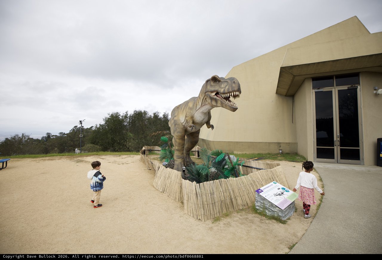 Children Encounter Life-Size T-Rex Dinosaur Exhibit