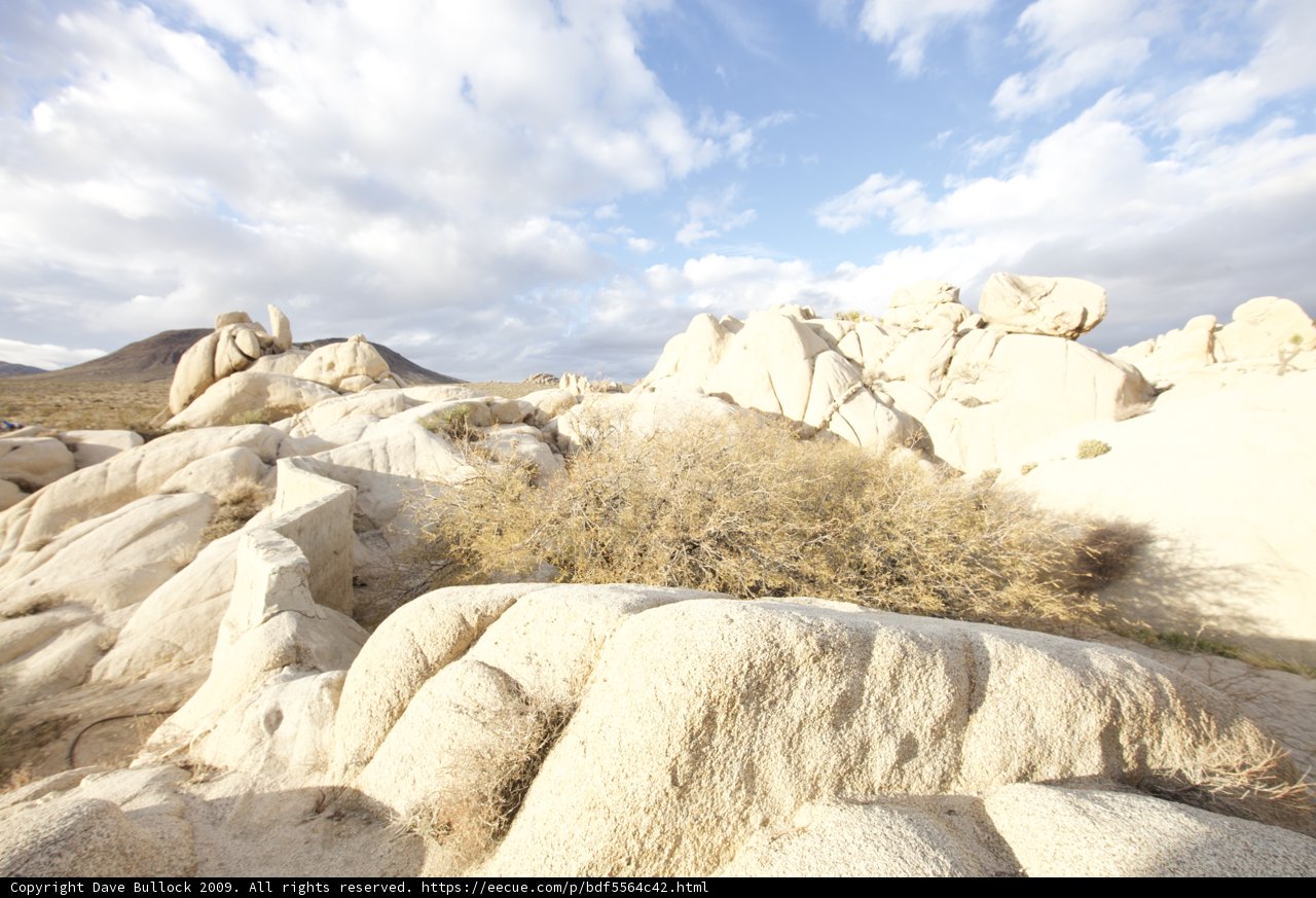 Serene Wilderness