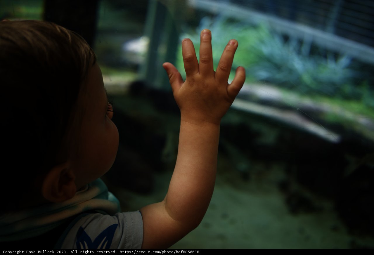 Baby's First Encounter with Aquatic Life