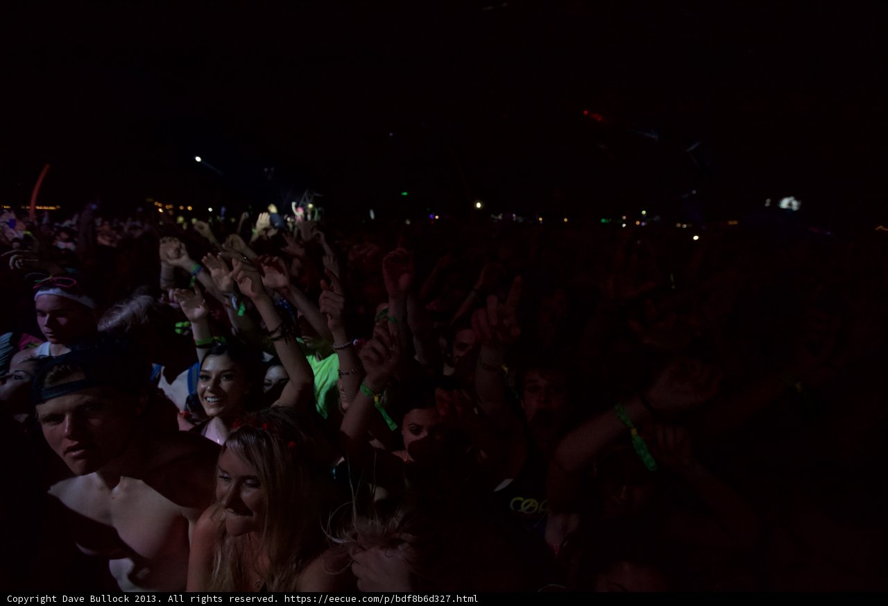 Coachella Crowd Goes Wild