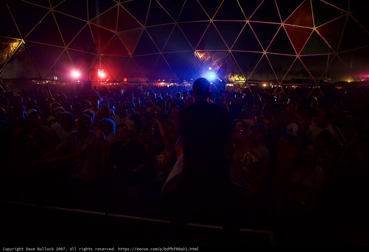 Angel Locsin Rocking Out with a Crowd at Coachella