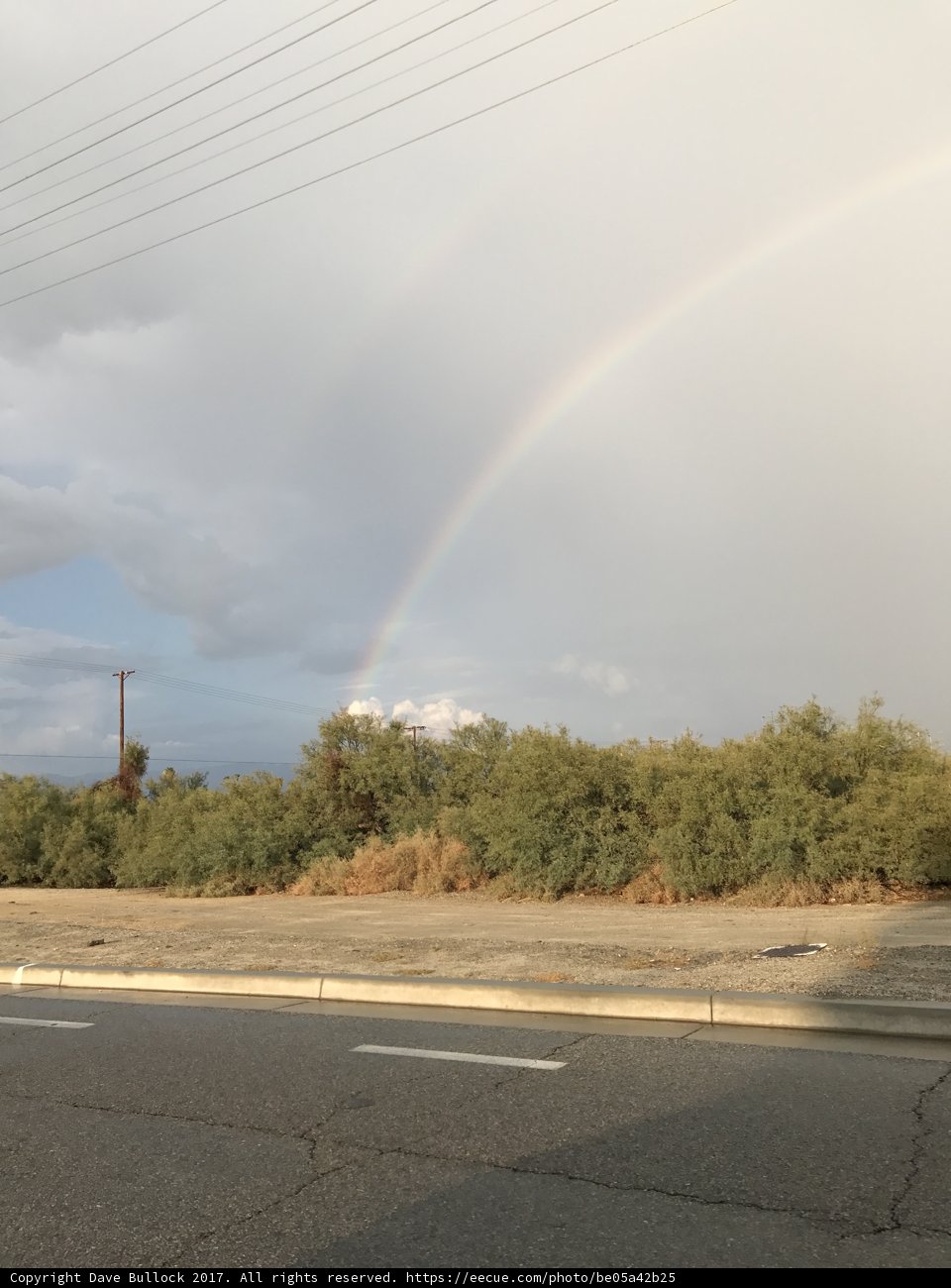 A Rainbow Over the Road