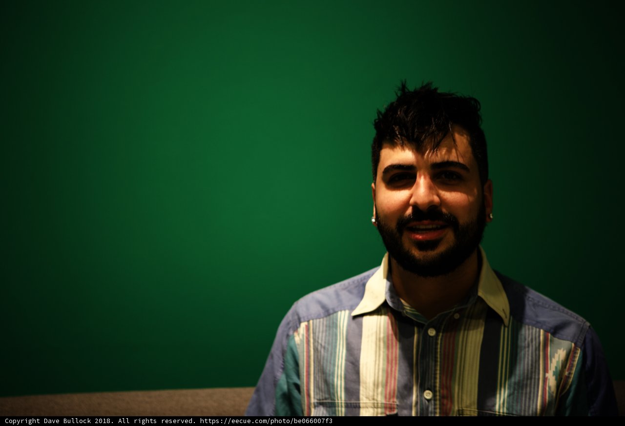 Happy bearded man in a stylish shirt