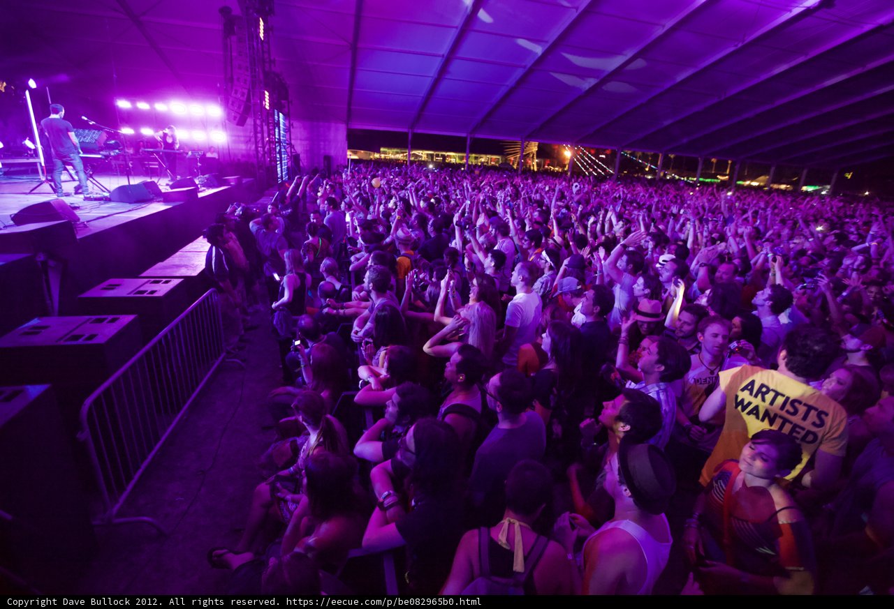 Purple Haze