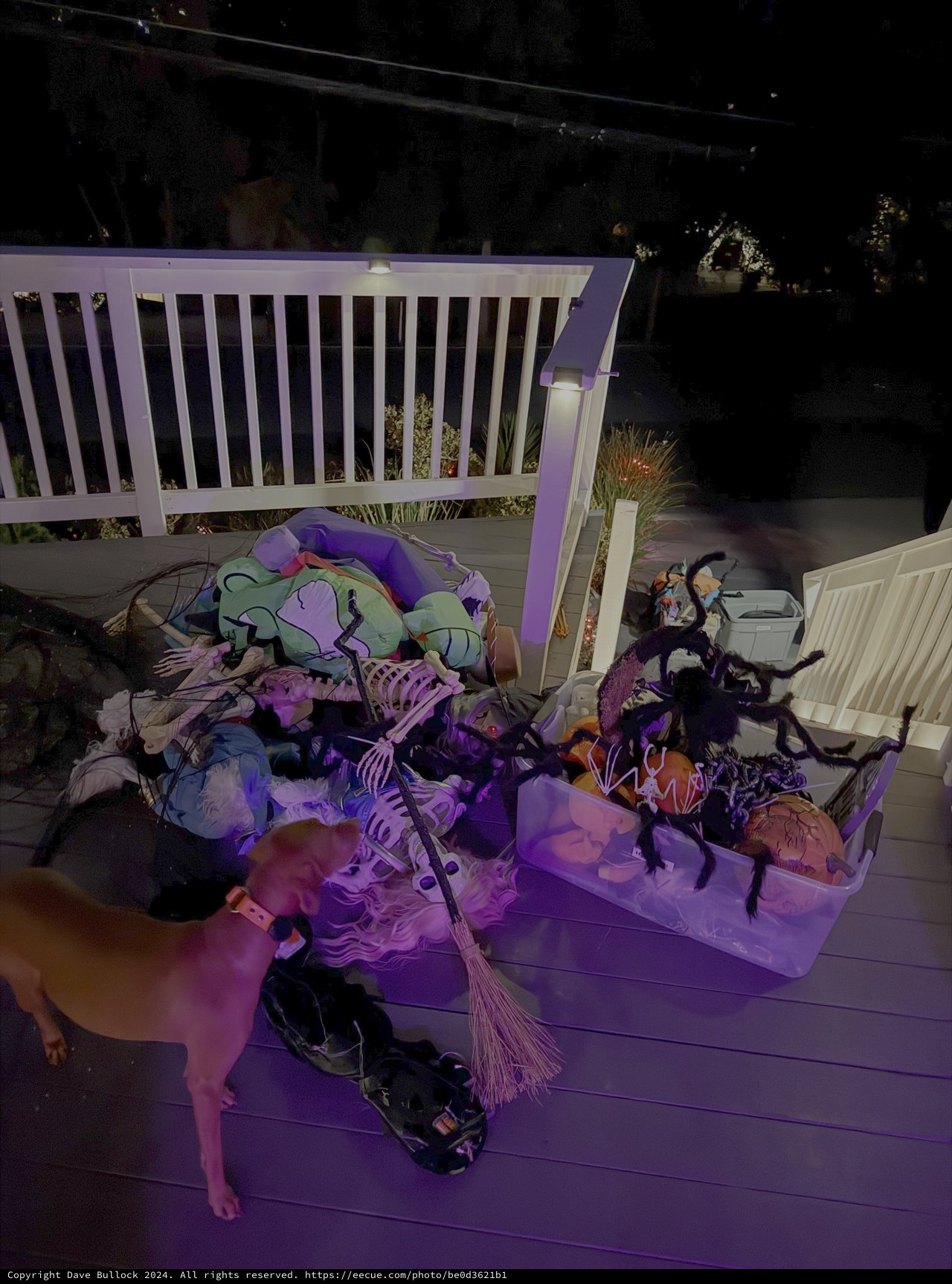 Halloween Decorations on Residential Deck at Night