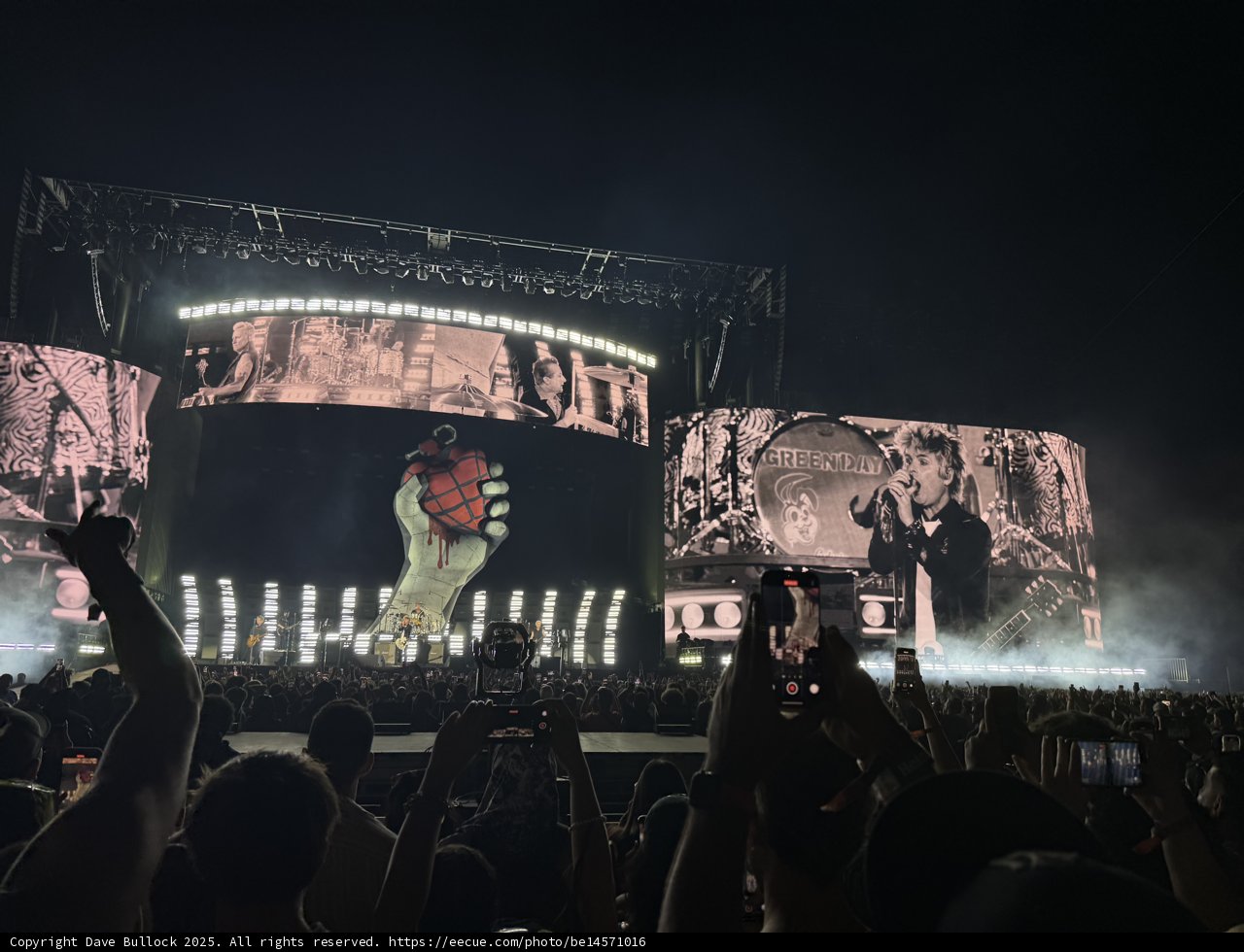 Electrifying Night Under the Stars