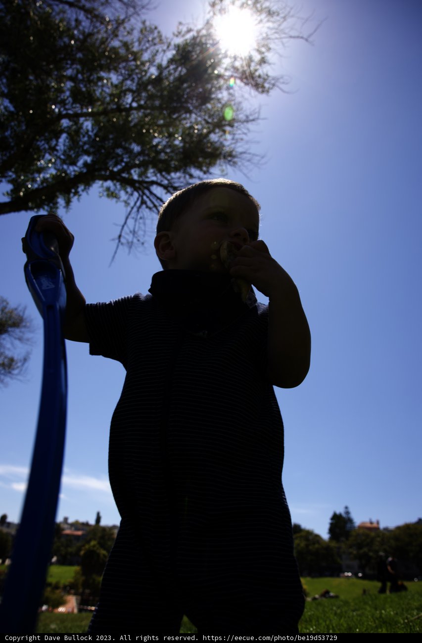 Summer Days at Delores Park: The Adventures of a Young Explorer