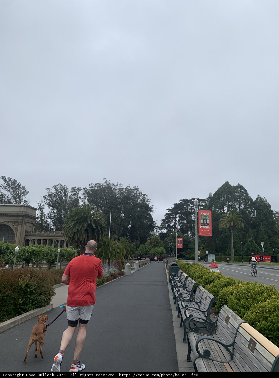 A Walk with My Best Friend