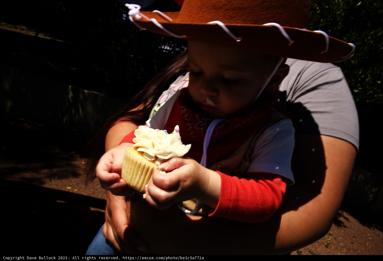 Wesley's Wild West First Birthday