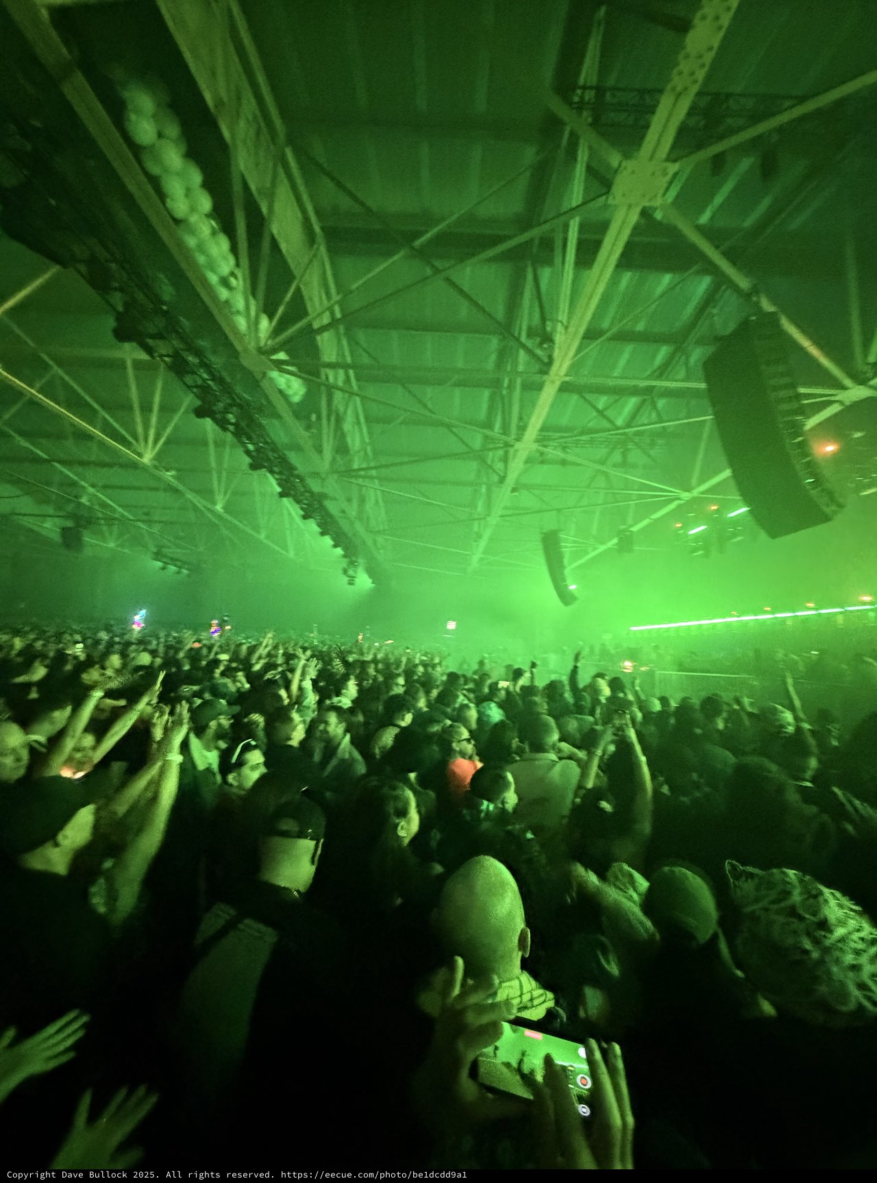 Massive Crowd Under Green Laser Lights at Electronic Music Concert