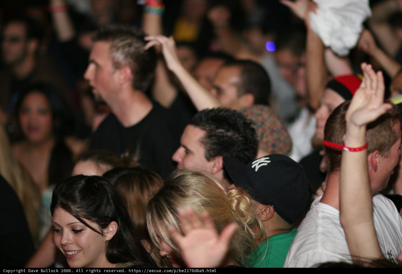 Nightclub Concert Fun