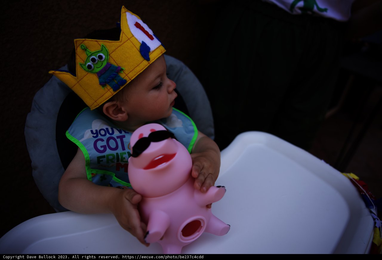 Baby Royalty at Wesley's First Birthday Bash