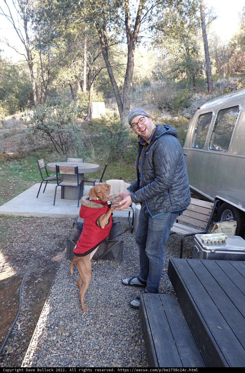 Man and his loyal companion enjoying the view
