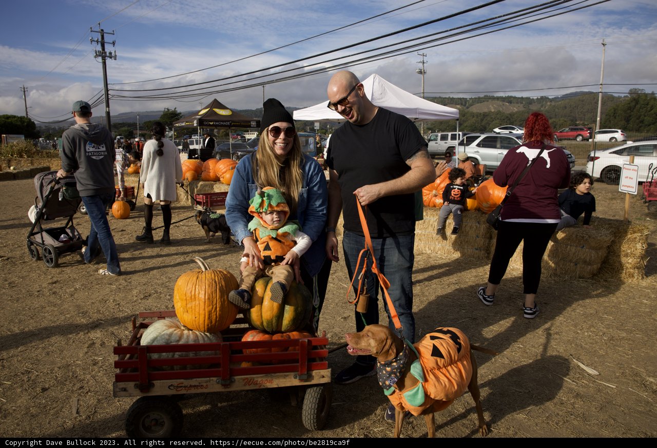Harvest Fun with Loved Ones