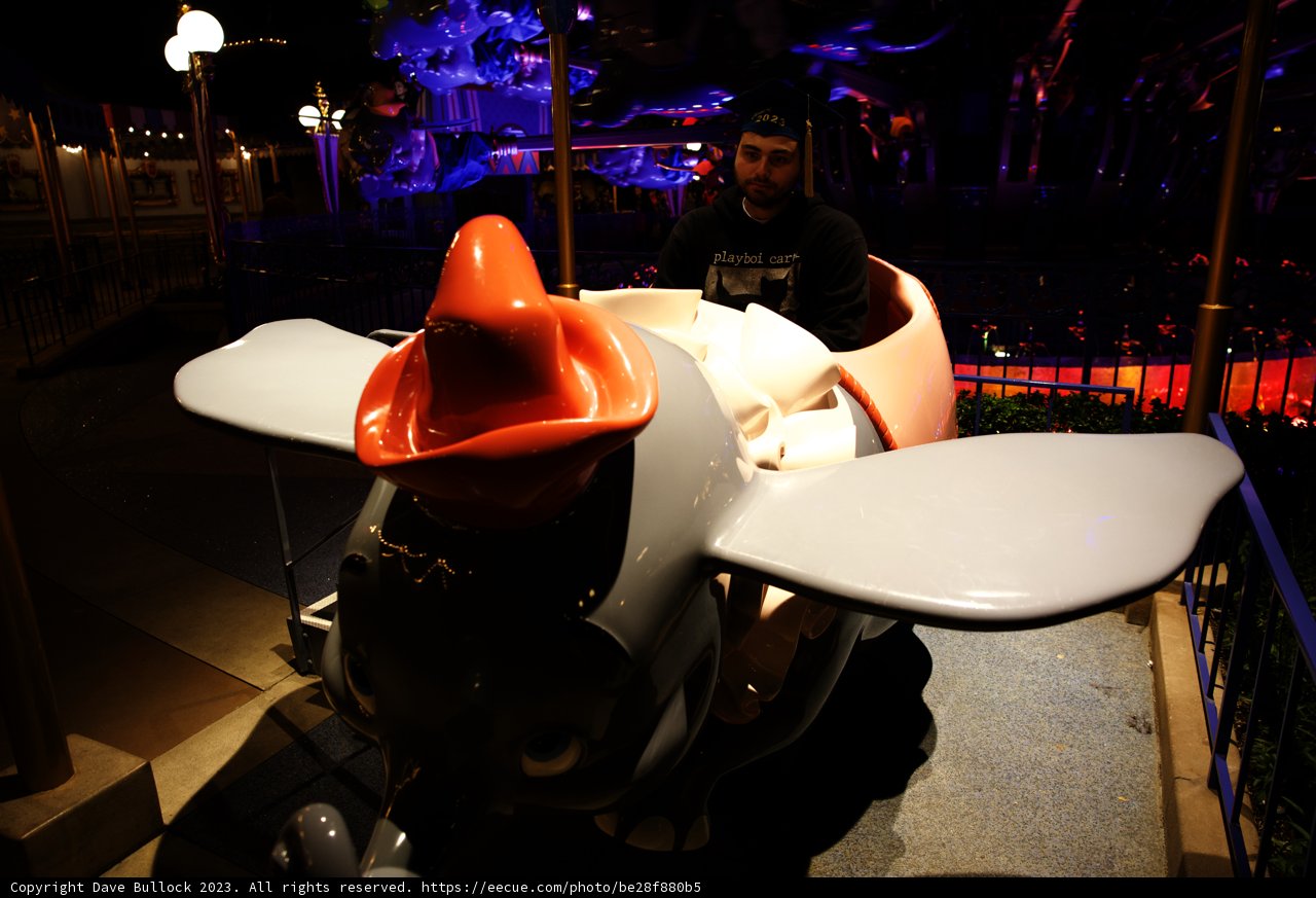 A Magical Elephant Adventure in Disneyland