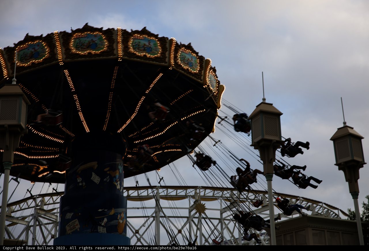 Magical Moments at Disneyland