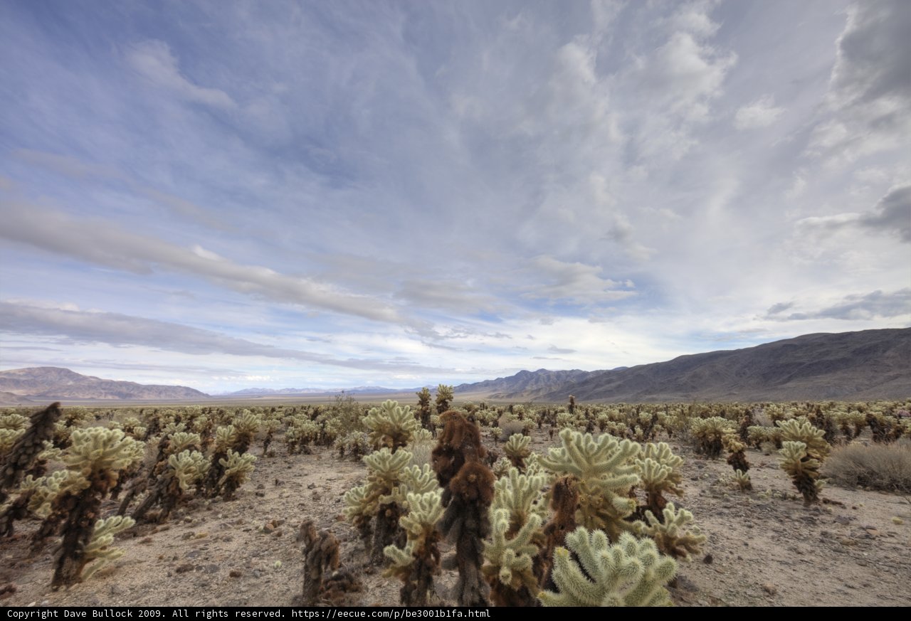 Majestic Desert Landscape