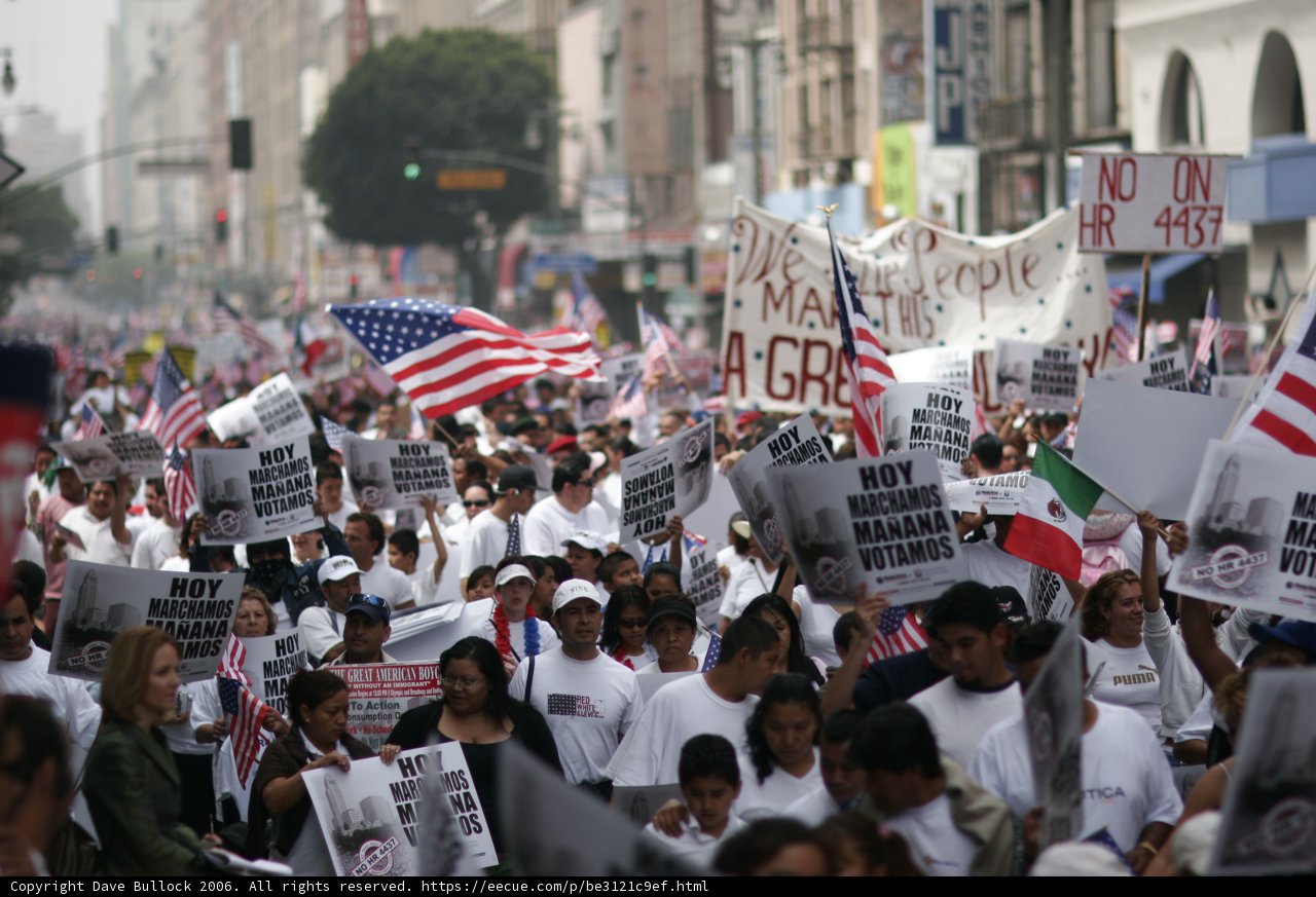 Protest Parade with Colorful Flags and Signs