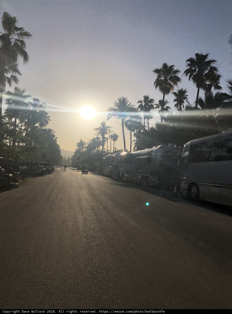 Sunset Drive through Palm Trees