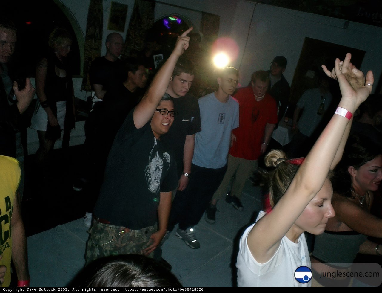 Hands up, Nightlife is Now!